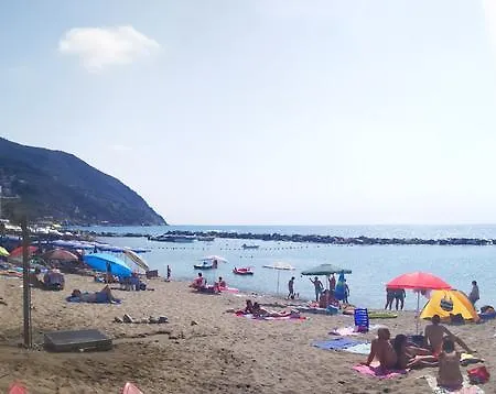 Giada